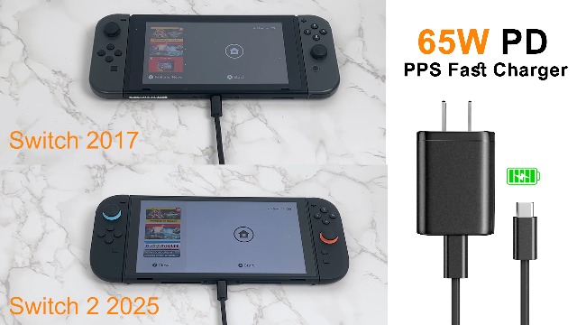 Amazon.com: EGK 65W Charger for Nintendo Switch (All Series) +